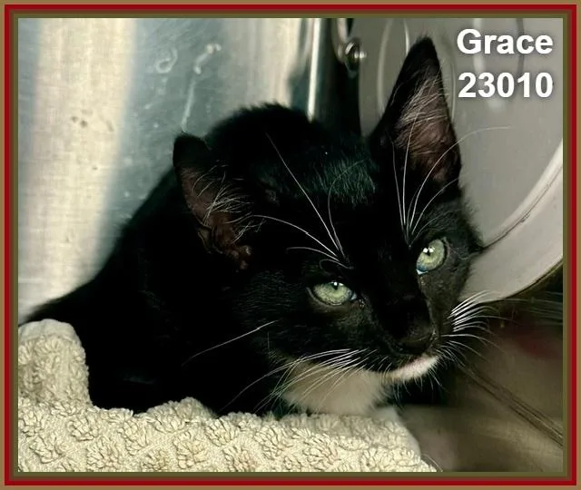Grace thumbnail 2
