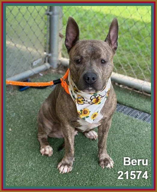 Beru thumbnail 4
