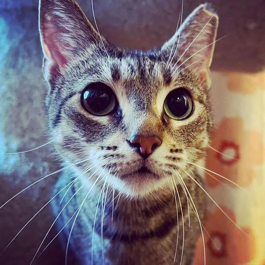 Samanthaborn thumbnail 3