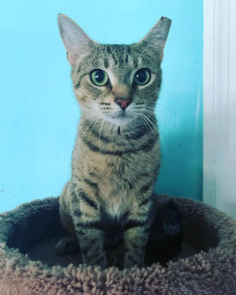 Samanthaborn thumbnail 4