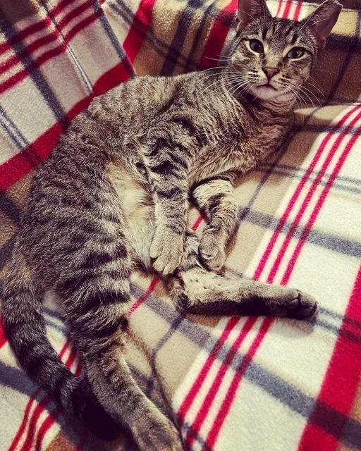 Samanthaborn thumbnail 5