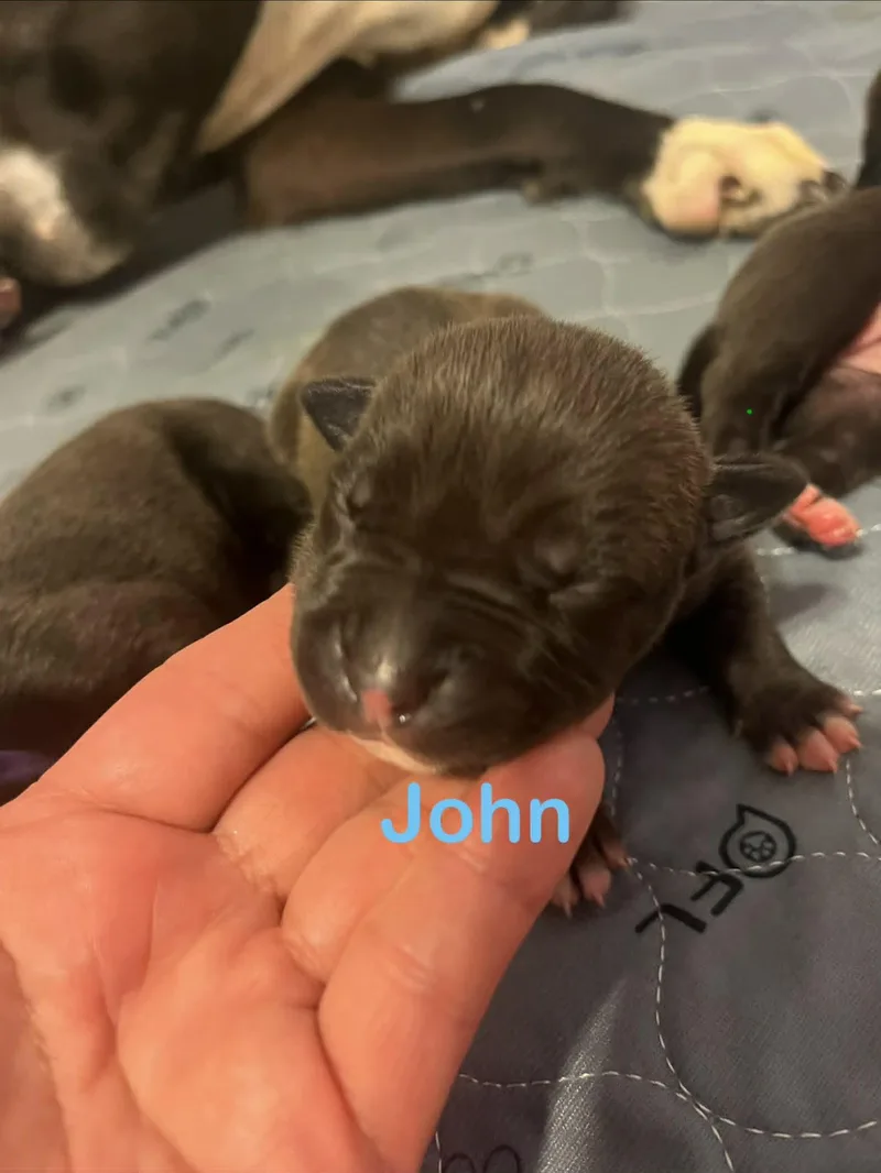 John