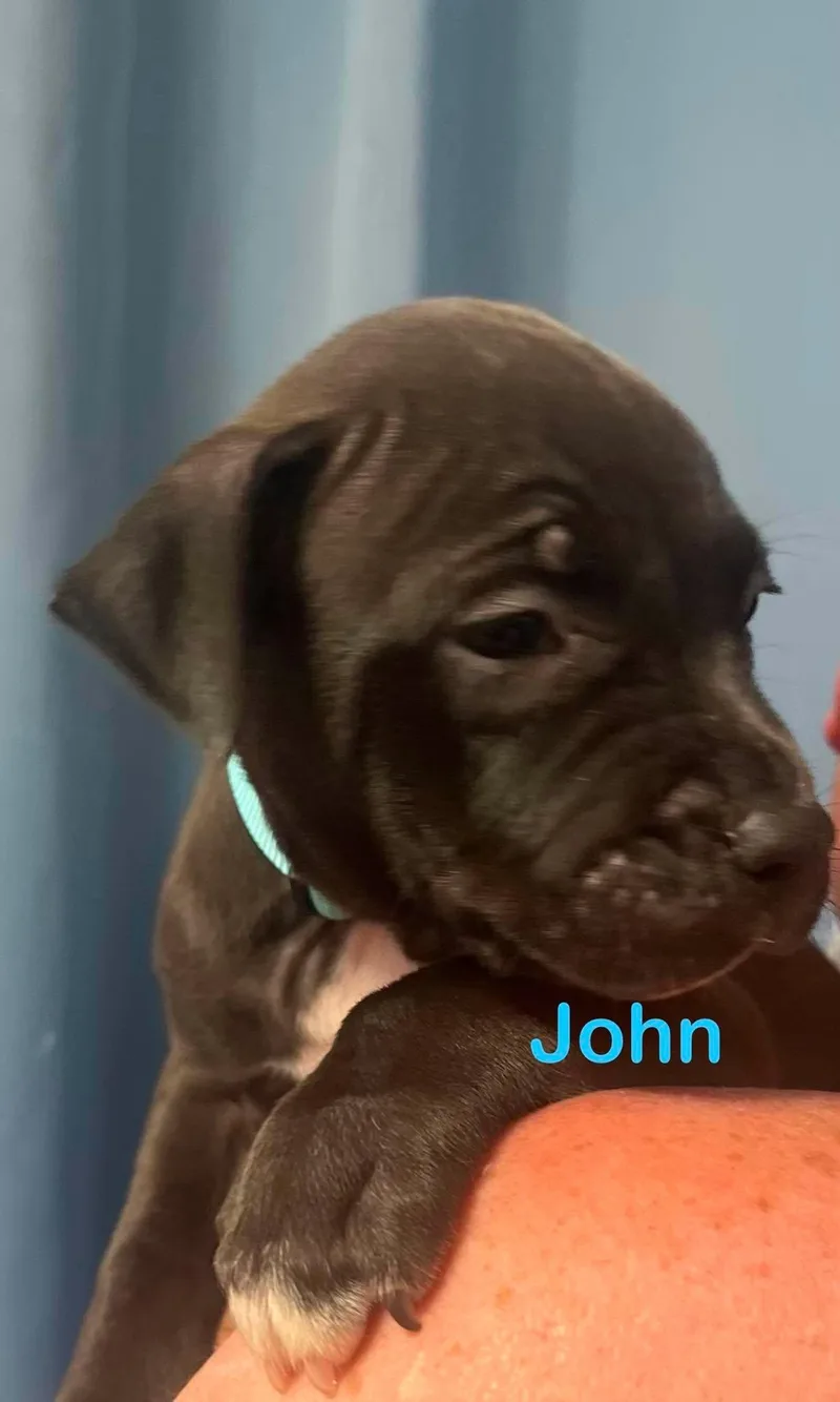 John thumbnail 2