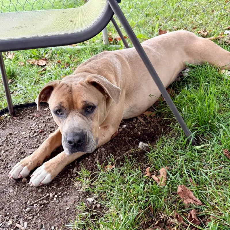 Norman bonded w May thumbnail 3
