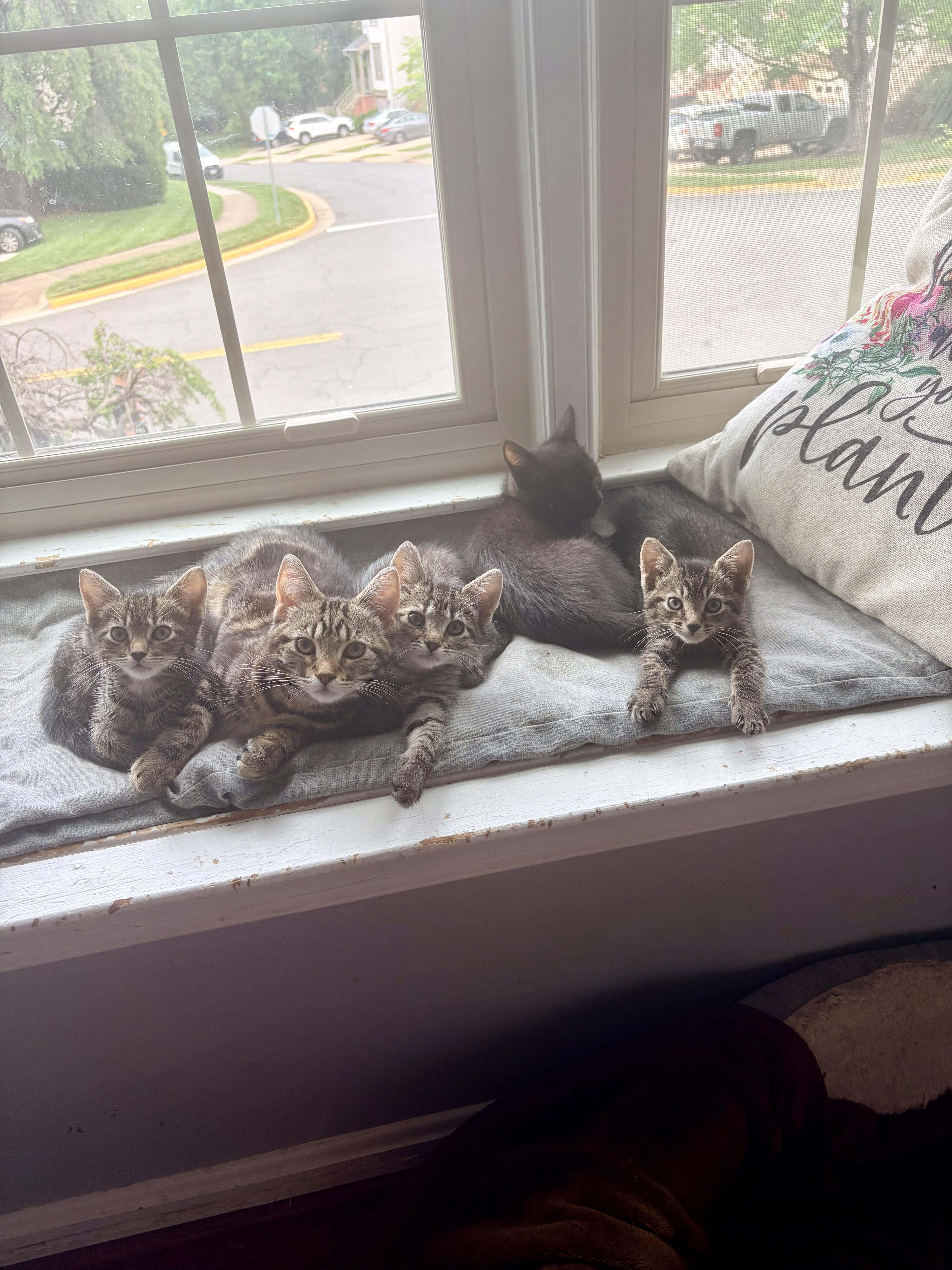 Mary Eliza thumbnail 5