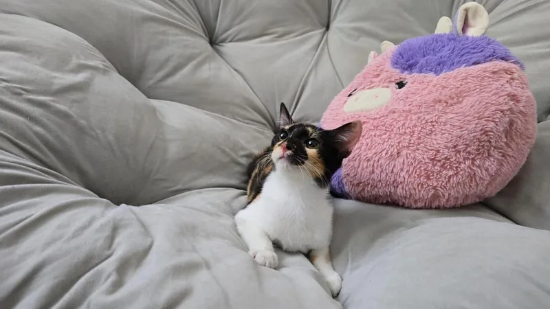 Mimi thumbnail 2