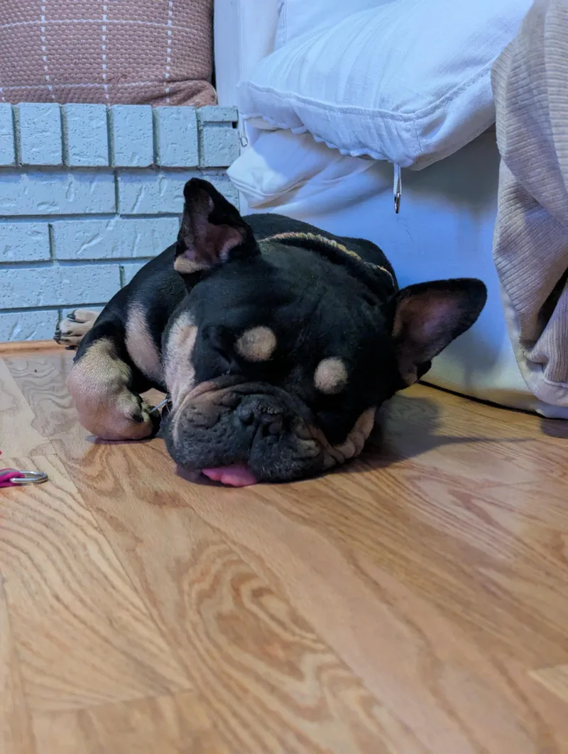 Betty thumbnail 2