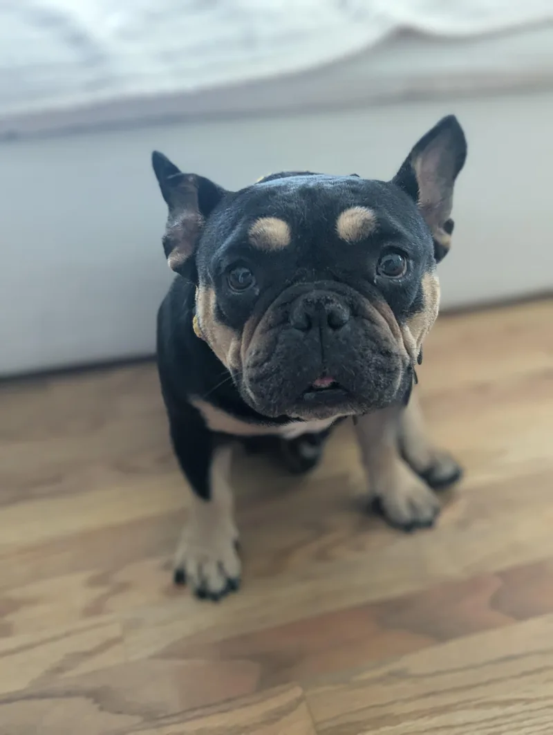 Betty thumbnail 3
