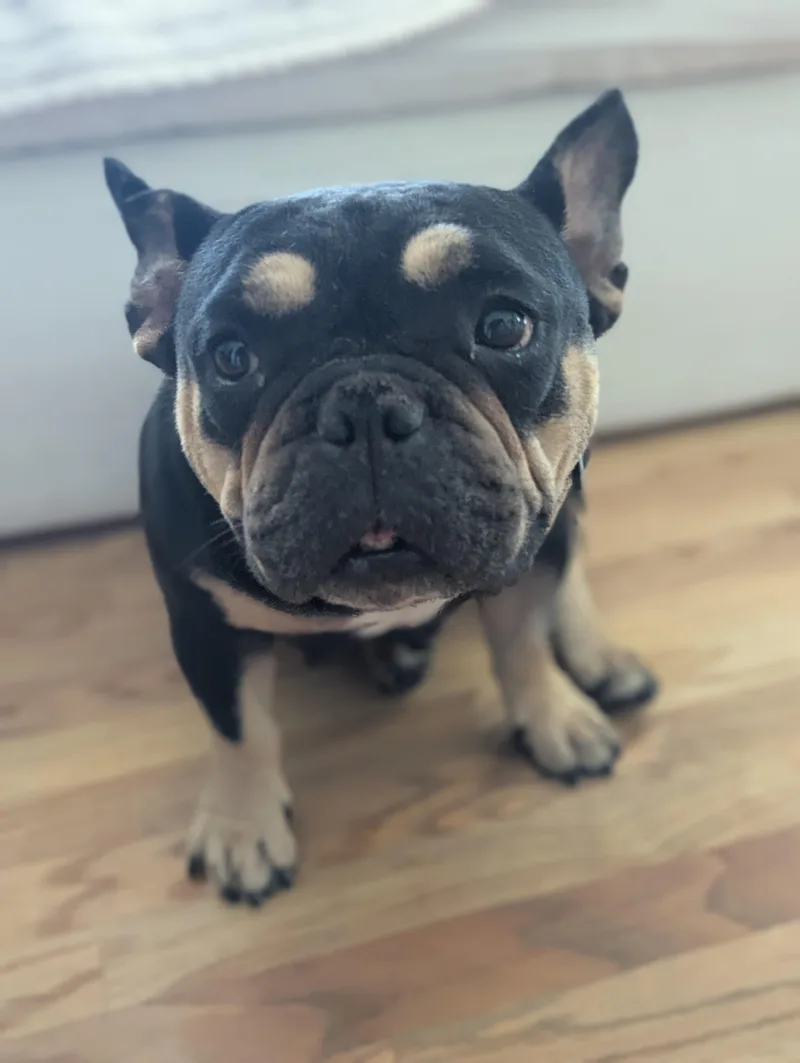 Betty thumbnail 4