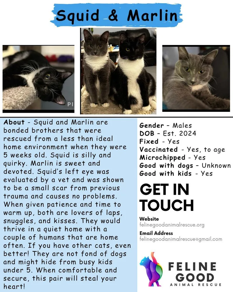 Squid & Marlin  thumbnail 2