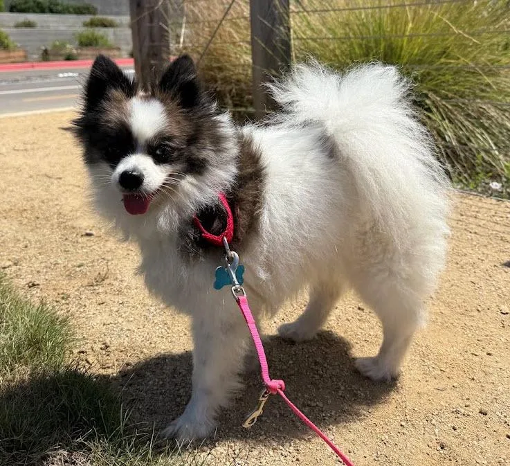 Chloe