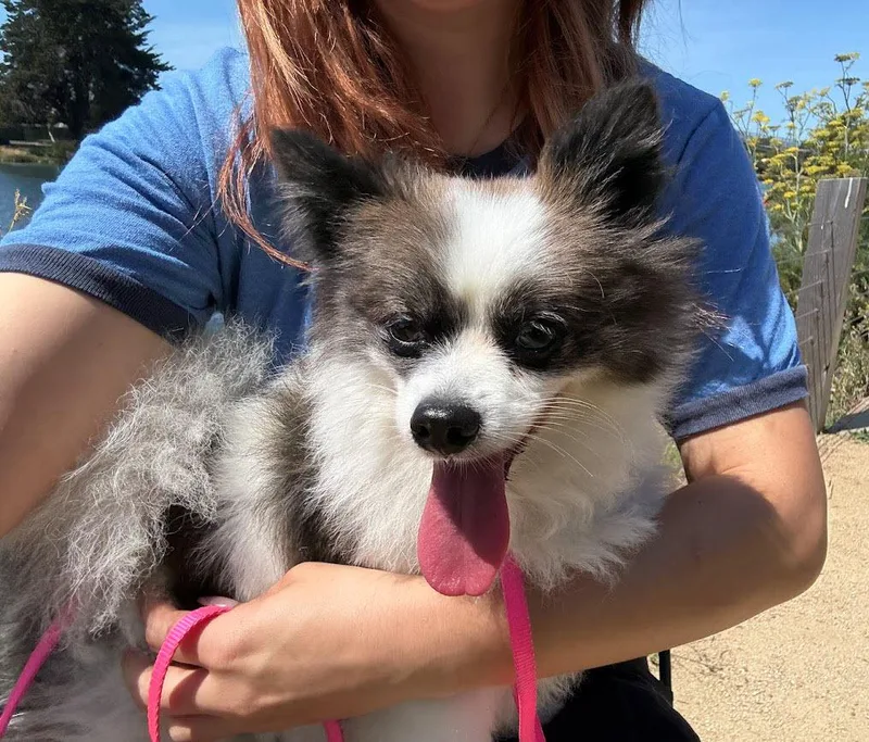 Chloe thumbnail 4
