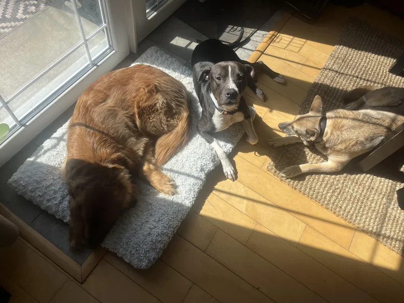 Mr. Clyde thumbnail 2