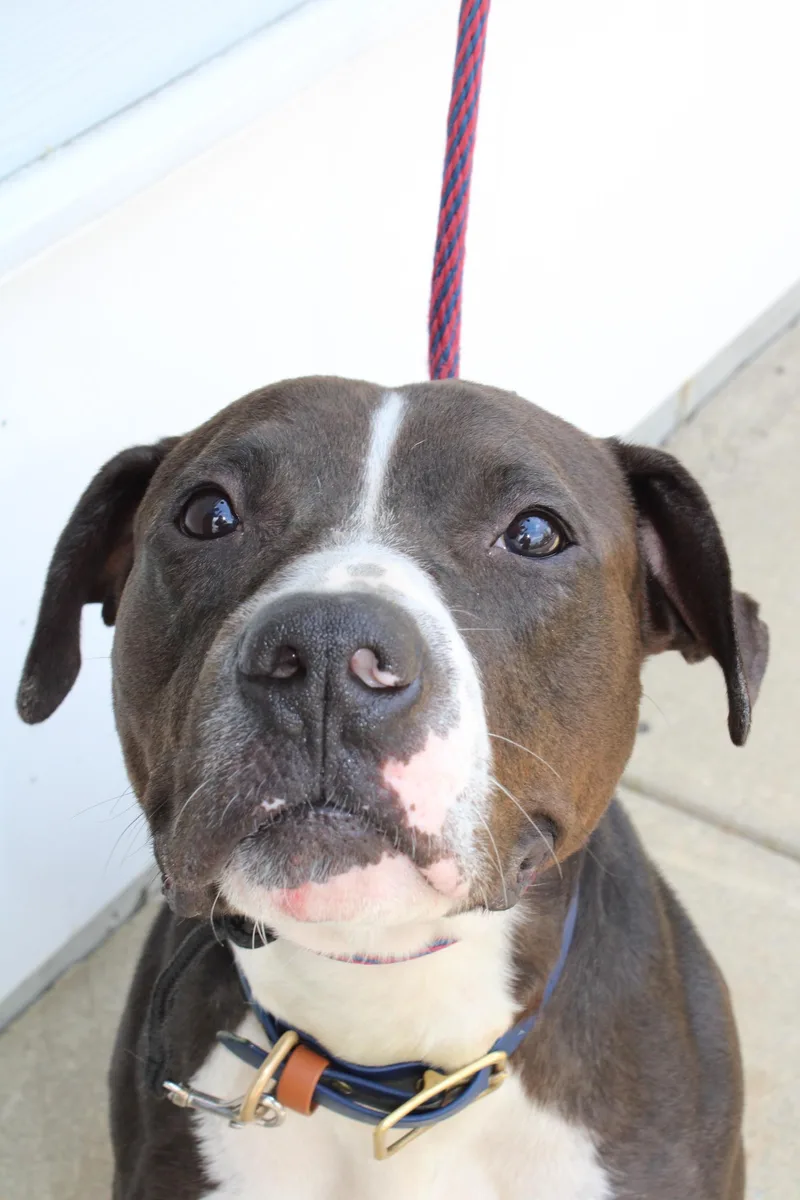 Mr. Clyde thumbnail 3