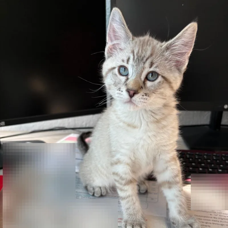 Bobby thumbnail 4