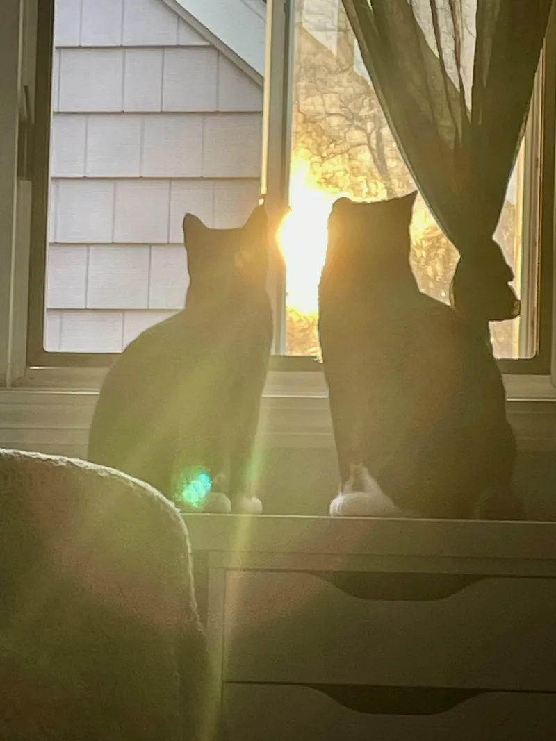 Carlile And Avett thumbnail 2