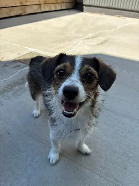 Penelope