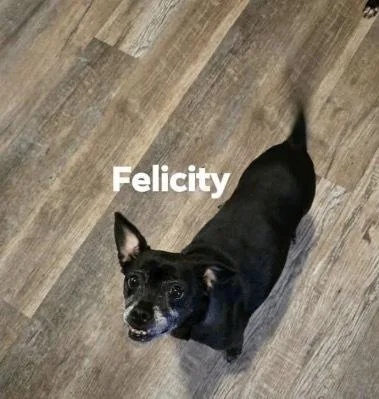 Felicity