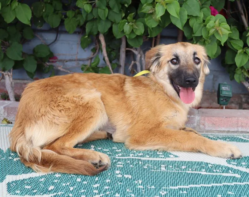 Lilith Von Lisberg thumbnail 2