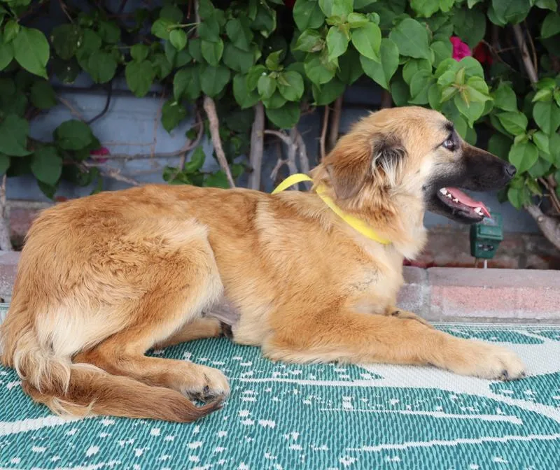 Lilith Von Lisberg thumbnail 4