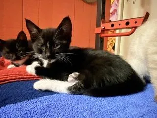 Binky thumbnail 2