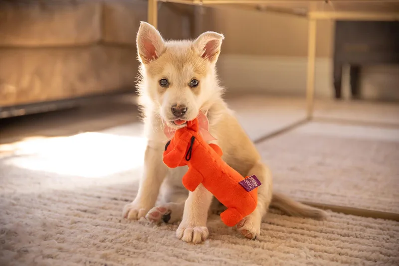 Peaches thumbnail 2