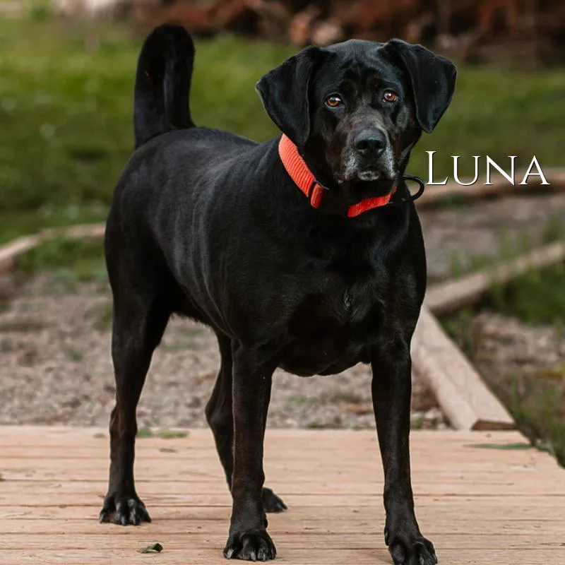 Luna
