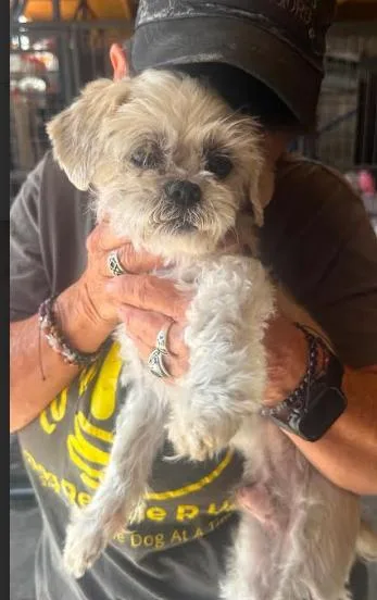 Bob in TX thumbnail 2