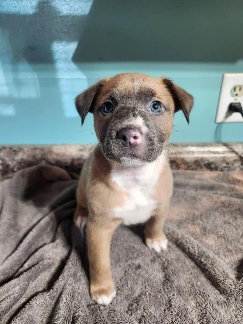 Heartfelt thumbnail 2