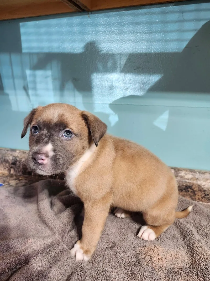 Heartfelt thumbnail 3