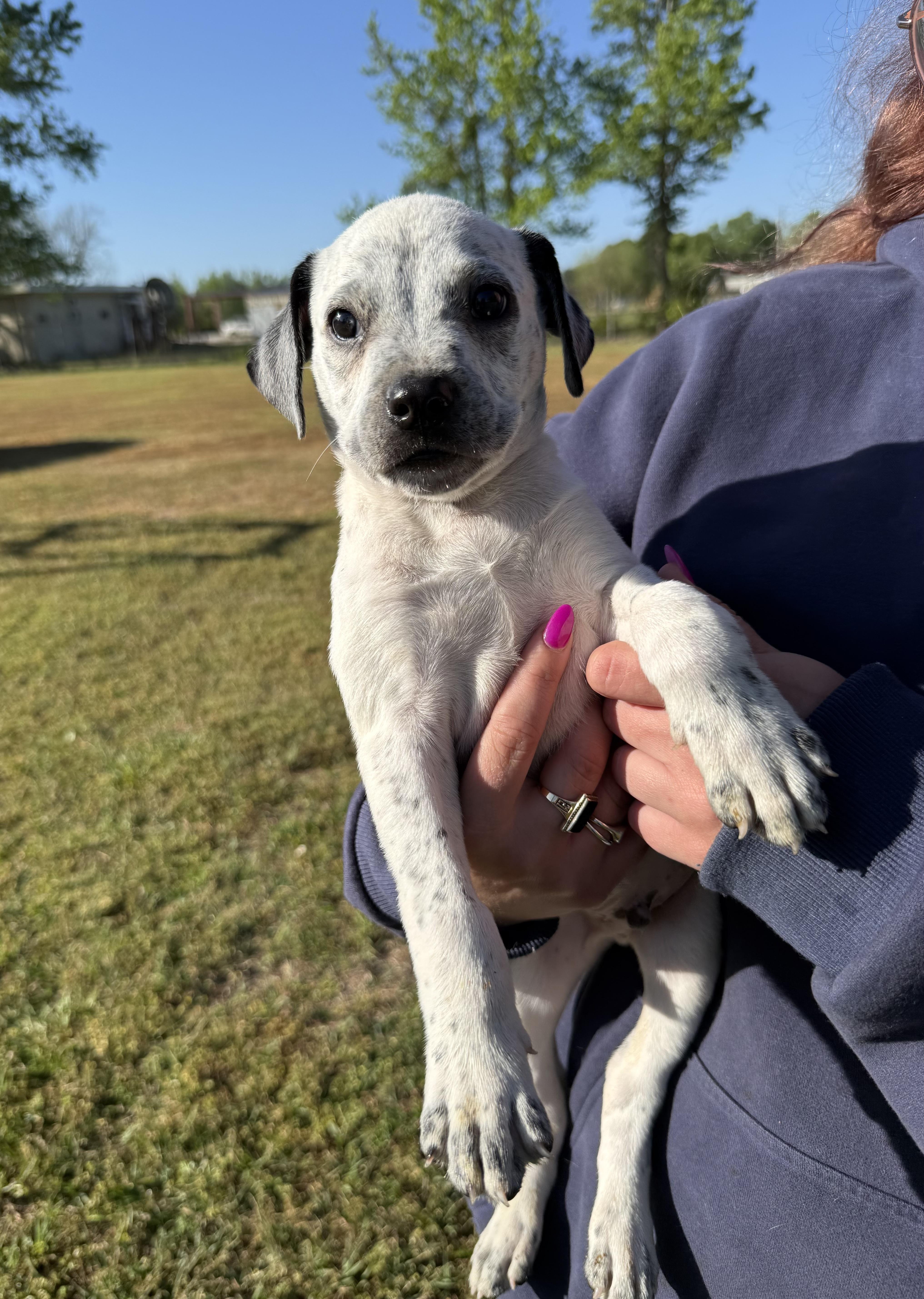 Nuggeti’m Just A Baby… thumbnail 3