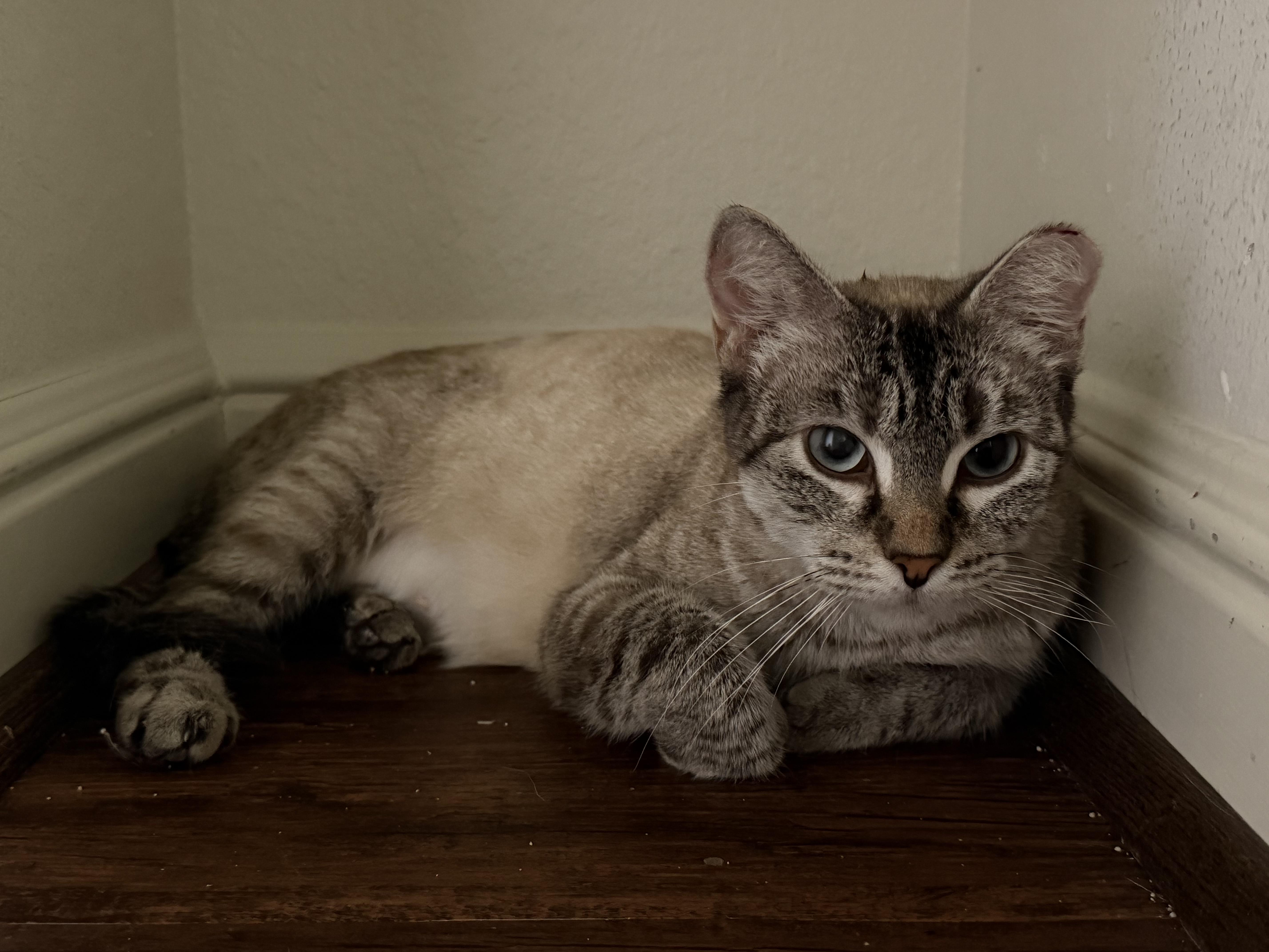 Xena