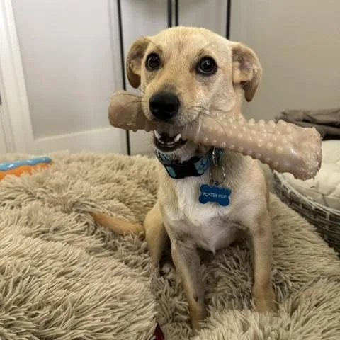 Doug