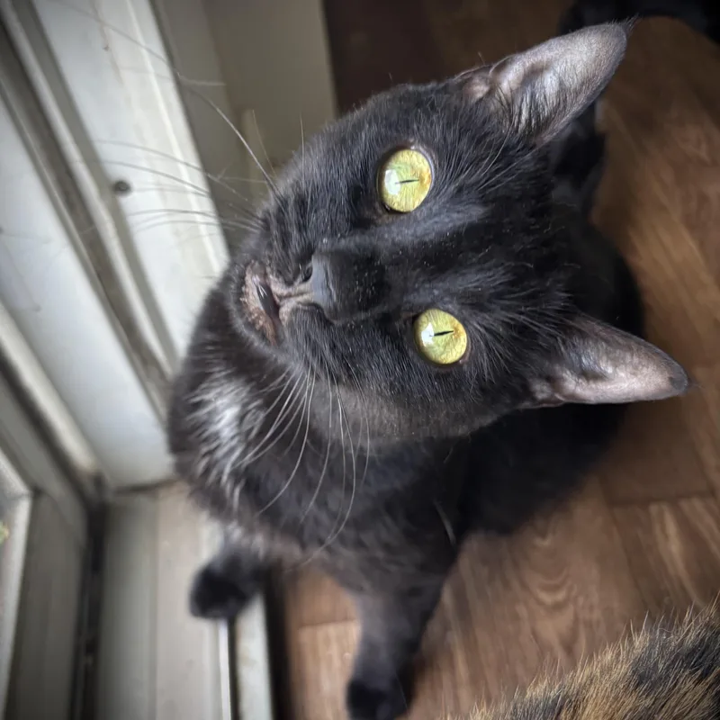 Maggie Mae thumbnail 2