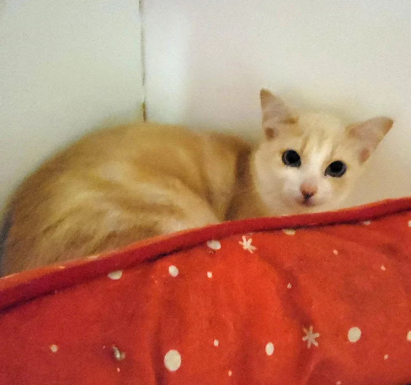 Tippy Tunnelwhiz thumbnail 2