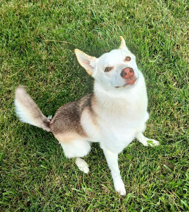 Luna thumbnail 2