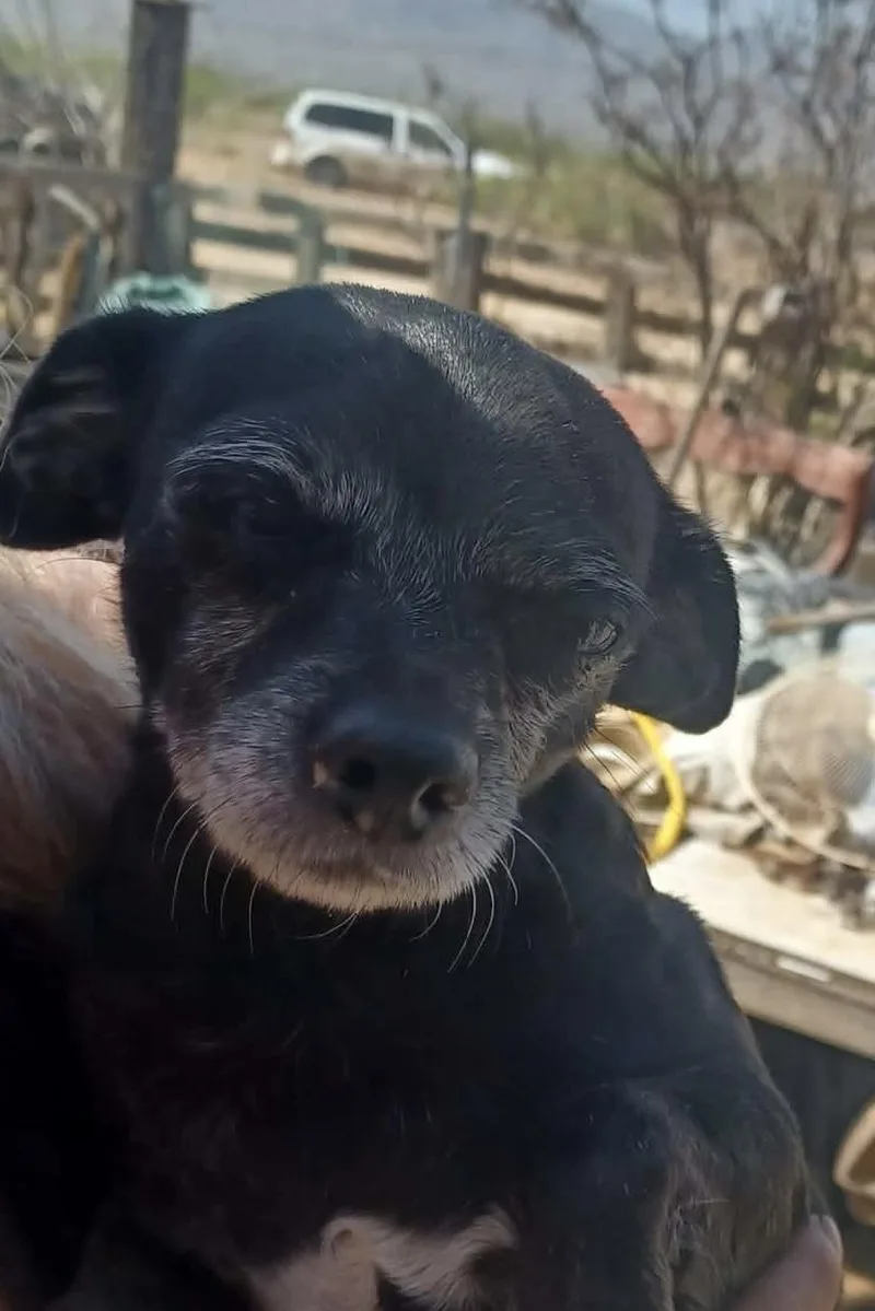 Madaphyte thumbnail 2