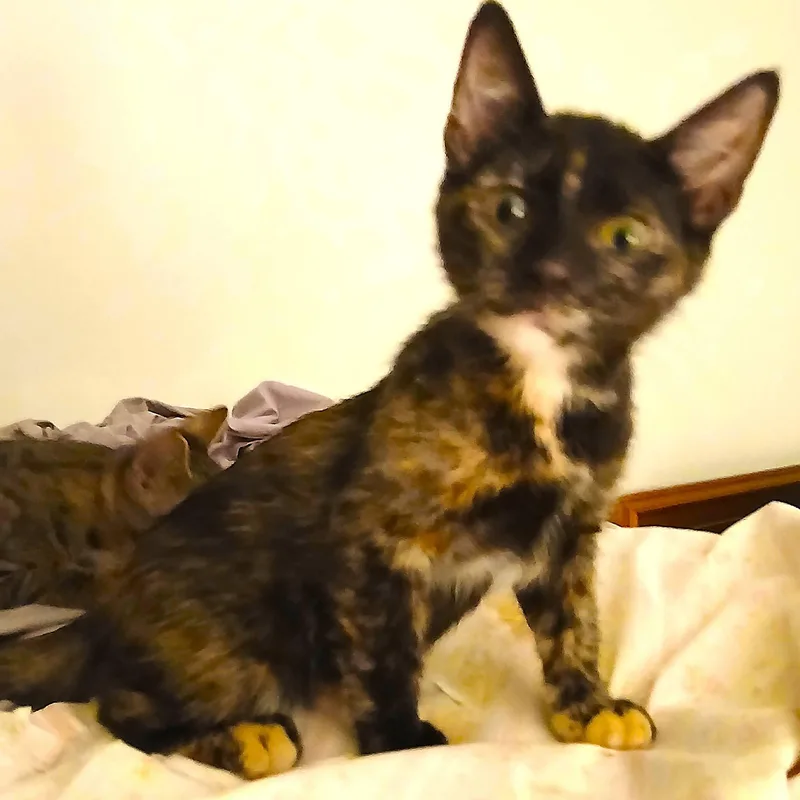 Winnie
