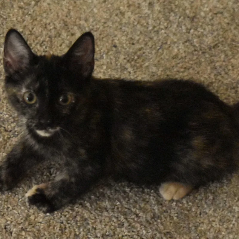 Winnie thumbnail 2