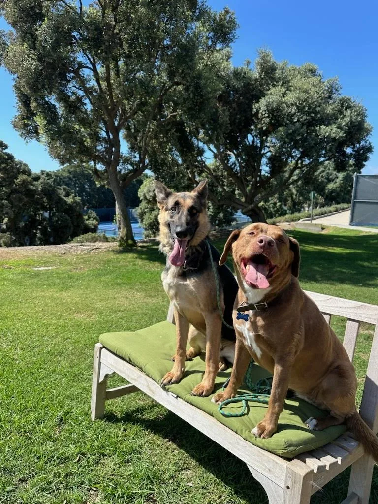 Daisy thumbnail 5