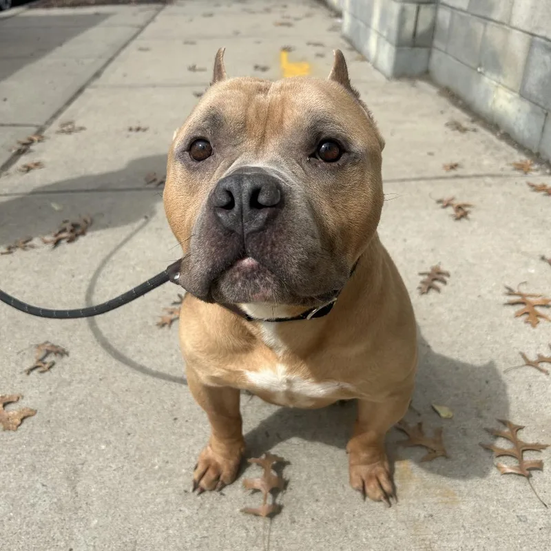 Luke