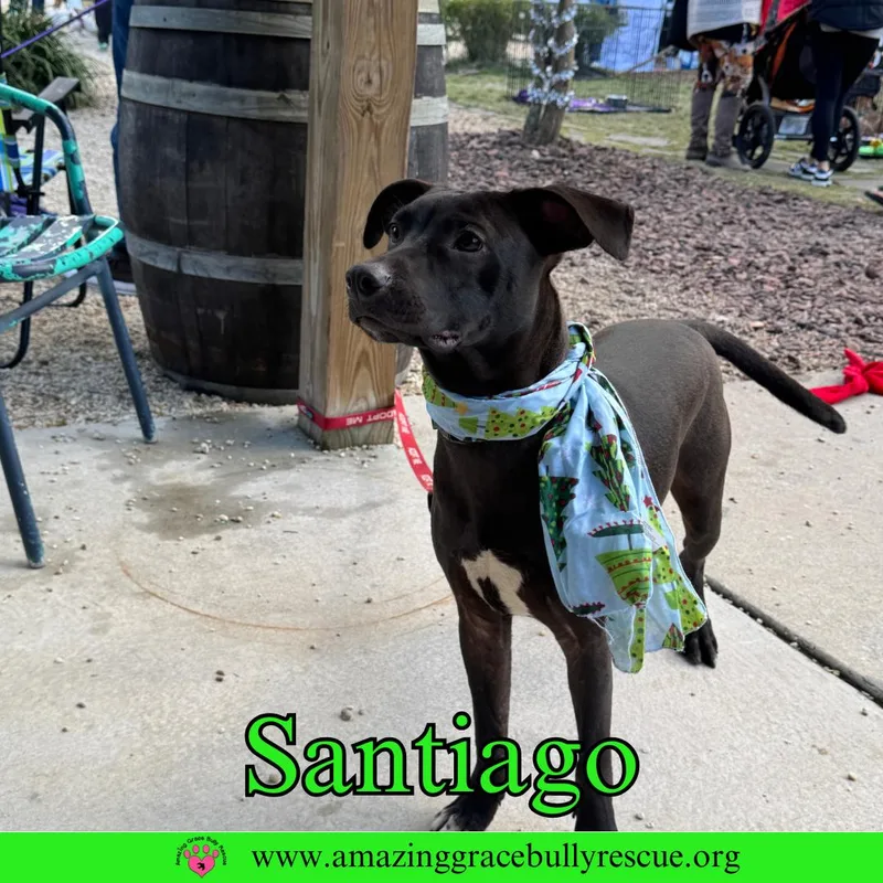 Santiago thumbnail 2