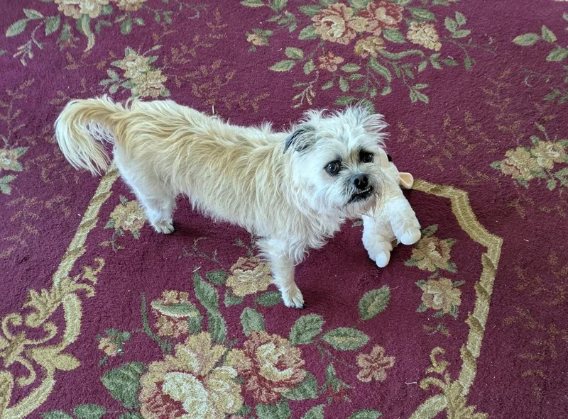 Sammie
