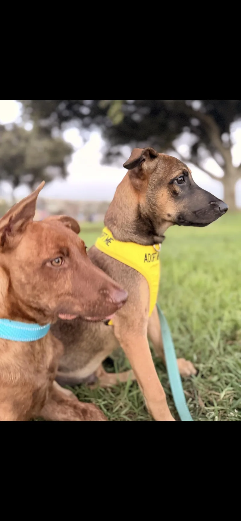 BROTHERS.  months thumbnail 6