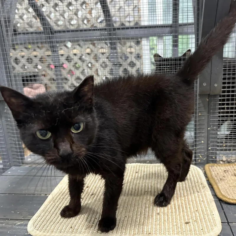 Nathalie thumbnail 2