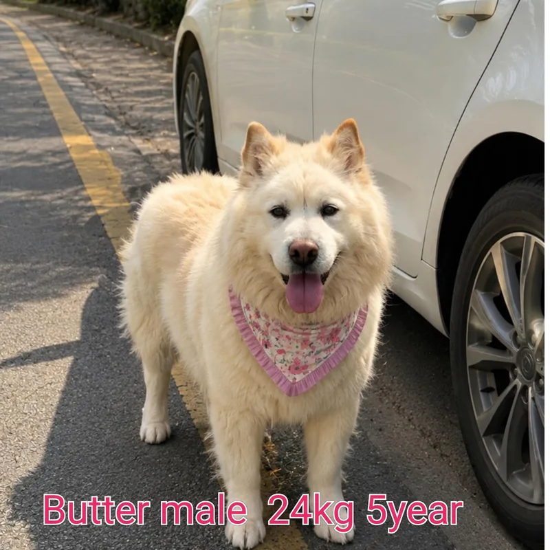 Butter thumbnail 3