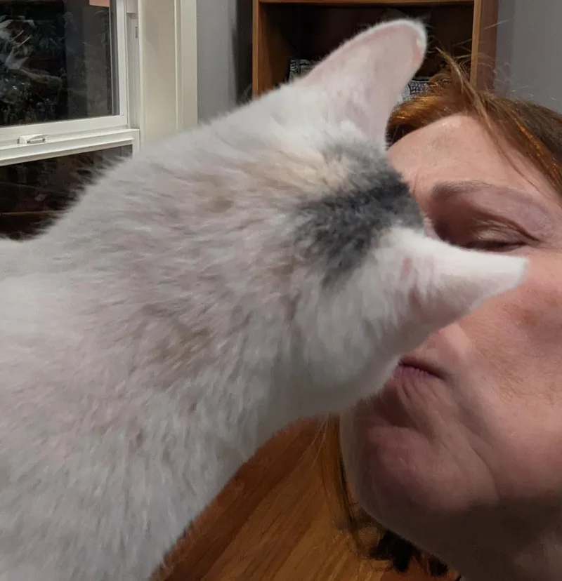 Meet Opal  A thumbnail 4