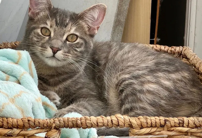 Teddy And Ellie thumbnail 2