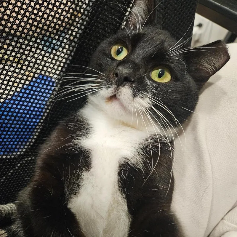 Mauricio thumbnail 2