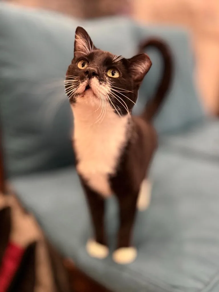 Mauricio thumbnail 3